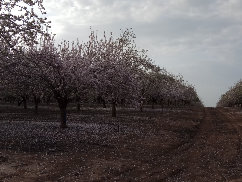 קובץ:2017.02.28-085502.948.android.jpg