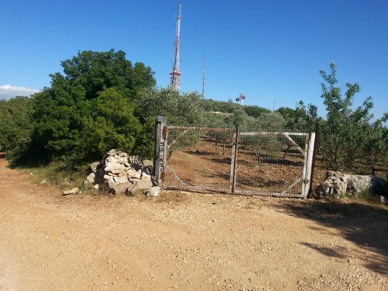 קובץ:2017.05.24-174625.486.android.jpg