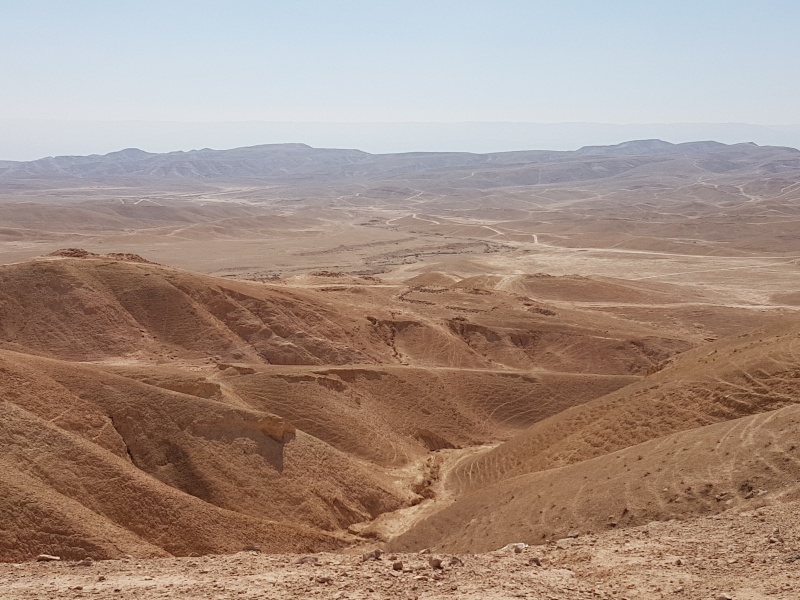 קובץ:2017.06.23-103450.383.android.jpg