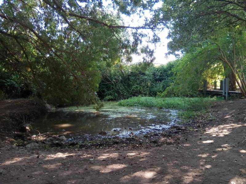 קובץ:2017.07.01-172832.300.android.jpg