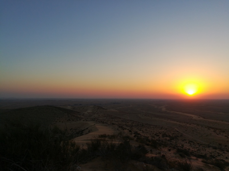 קובץ:2017.08.05-202636.663.android.jpg