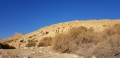 תמונה ממוזערת לגרסה מתאריך 18:21, 20 בינואר 2018