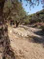 תמונה ממוזערת לגרסה מתאריך 06:06, 4 בנובמבר 2017