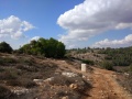 תמונה ממוזערת לגרסה מתאריך 05:53, 18 בנובמבר 2017