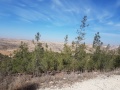 תמונה ממוזערת לגרסה מתאריך 09:35, 22 במרץ 2018