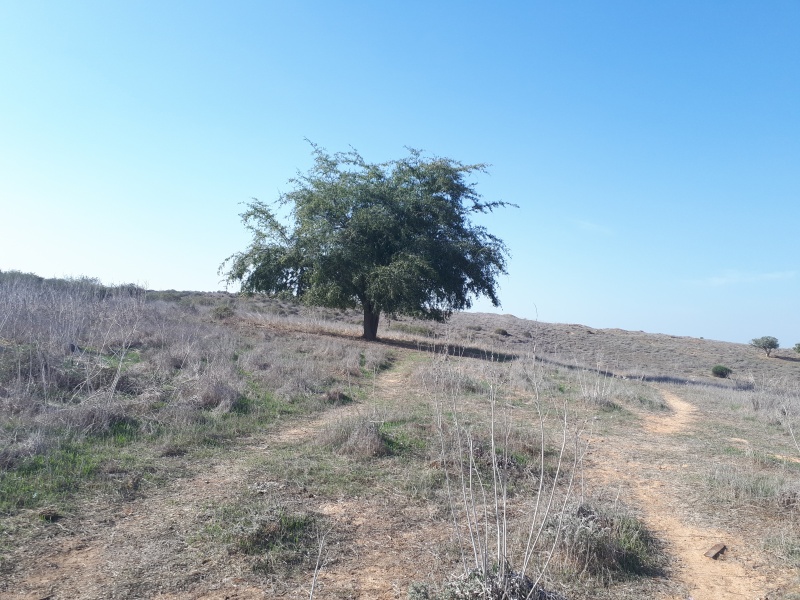 קובץ:2017.12.01-140155.665.android.jpg