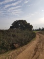 תמונה ממוזערת לגרסה מתאריך 09:25, 8 בדצמבר 2017