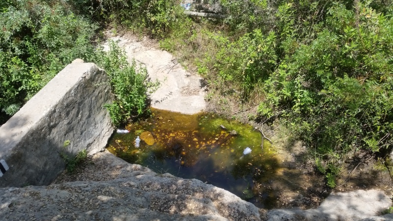 קובץ:20170502 134718.jpg