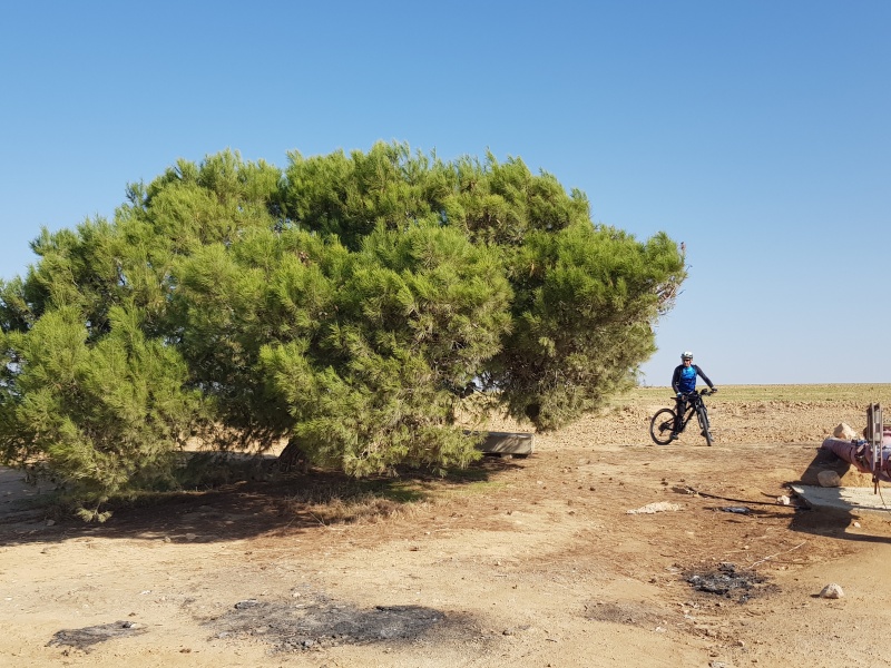 קובץ:20171202 101634.jpg