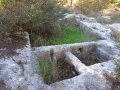 תמונה ממוזערת לגרסה מתאריך 16:10, 17 בפברואר 2018