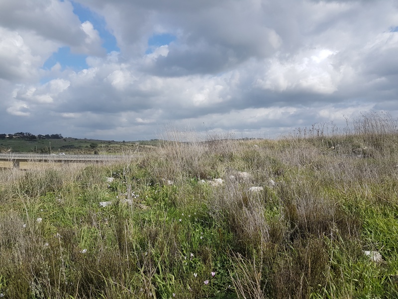 קובץ:2018.01.18-135252.946.android.jpg