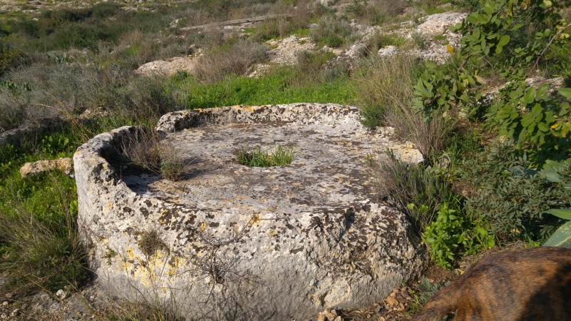 קובץ:2018.02.03-155939.152.android.jpg