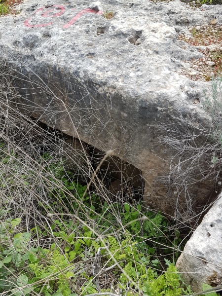 קובץ:2018.02.07-141123.115.android.jpg