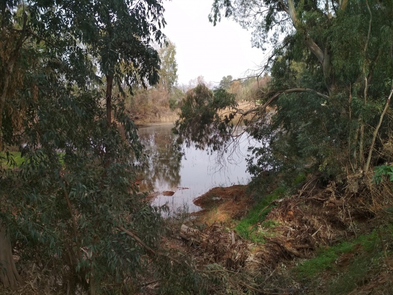 קובץ:2018.02.09-152940.424.android.jpg