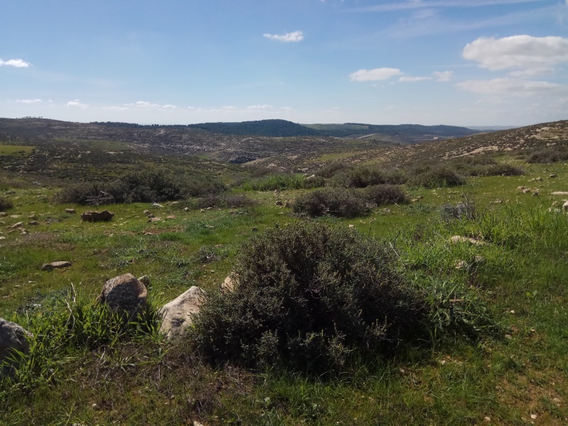 קובץ:2018.02.14-126054.892.android.jpg