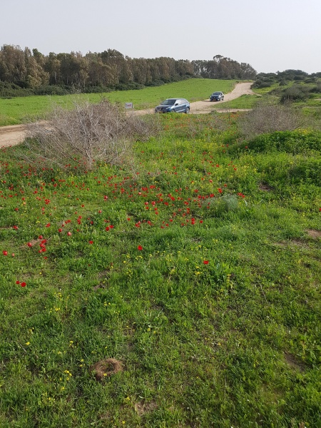 קובץ:2018.02.16-156014.866.android.jpg