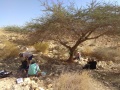 תמונה ממוזערת לגרסה מתאריך 11:05, 9 במרץ 2018