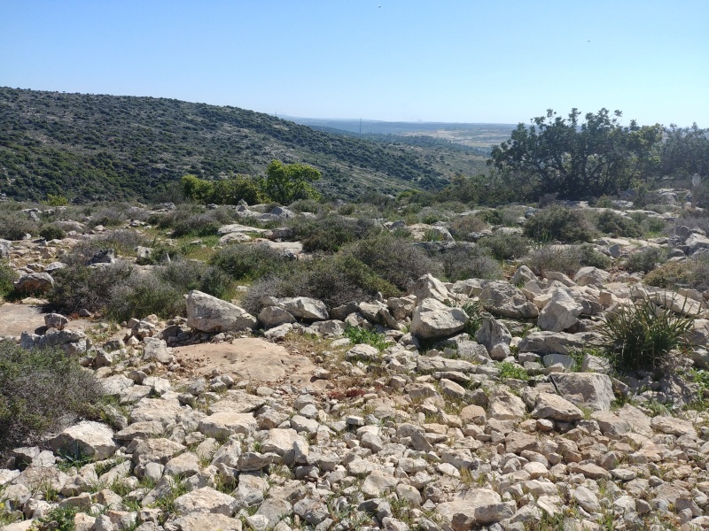 קובץ:2018.03.17-146013.960.android.jpg