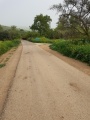 תמונה ממוזערת לגרסה מתאריך 12:41, 24 במרץ 2018