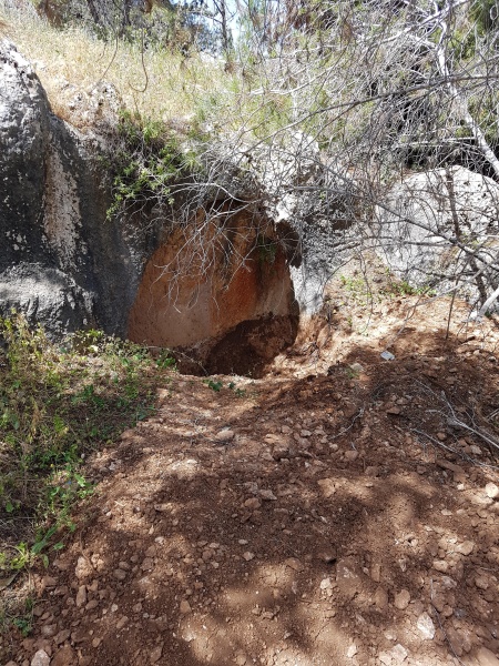 קובץ:2018.04.06-142201.369.android.jpg