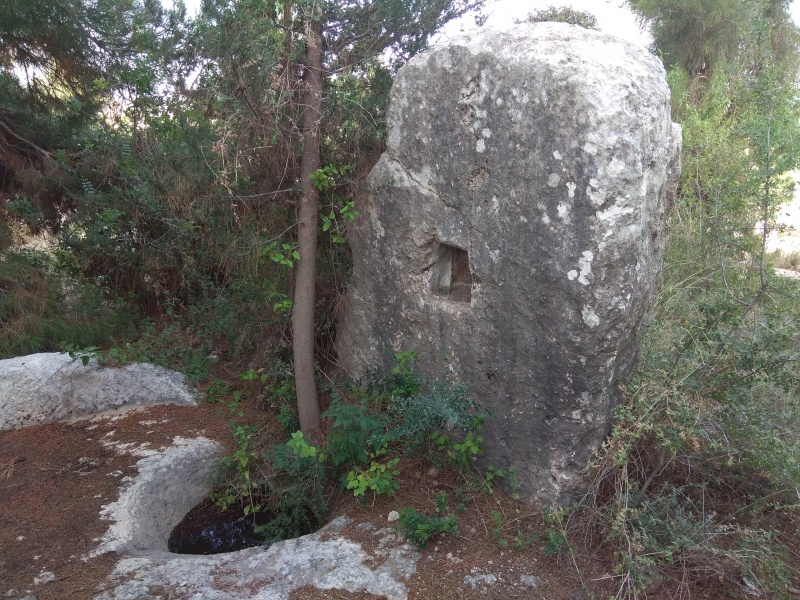 קובץ:2018.04.30-184542.006.android.jpg