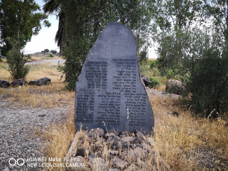 קובץ:2018.06.05-170143.210.android.jpg