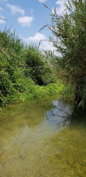 קובץ:2018.06.12-140331.943.android.jpg