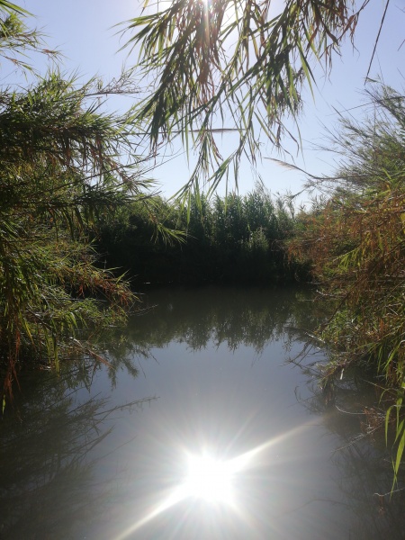 קובץ:2018.06.27-180749.112.android.jpg