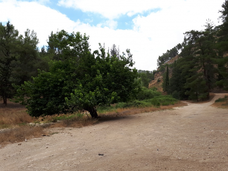 קובץ:2018.06.30-122660.384.android.jpg