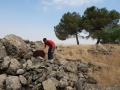 תמונה ממוזערת לגרסה מתאריך 20:40, 20 ביולי 2018