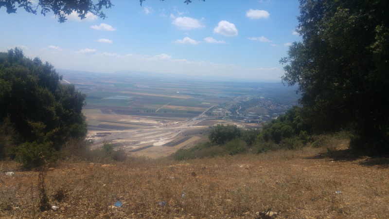 קובץ:2018.07.21-121558.861.android.jpg