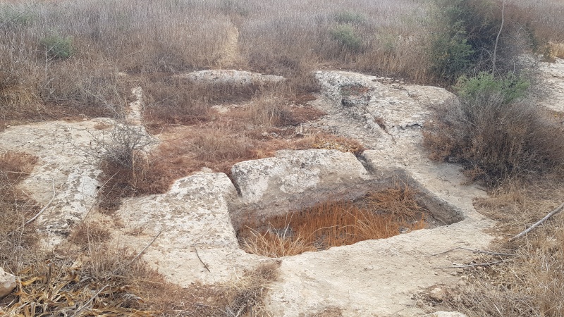 קובץ:2018.07.29-091458.564.android.jpg