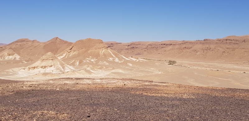 קובץ:2018.08.17-122204.794.android.jpg