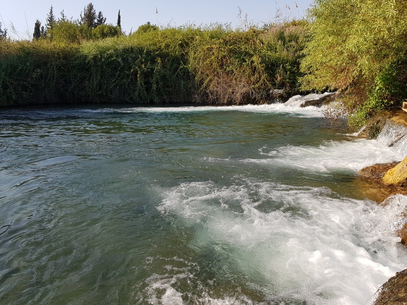 קובץ:2018.08.20-183818.440.android.jpg