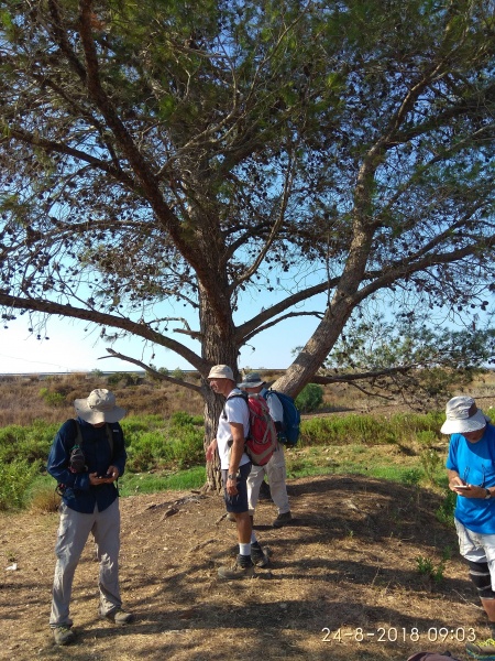 קובץ:2018.08.24-100407.751.android.jpg