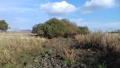 תמונה ממוזערת לגרסה מתאריך 20:28, 27 בנובמבר 2018