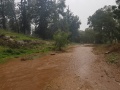 תמונה ממוזערת לגרסה מתאריך 20:54, 4 בינואר 2019