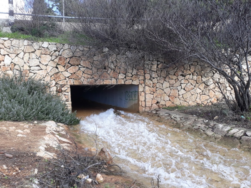 קובץ:2019.01.10-143407.326.android.jpg