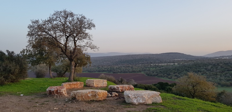 קובץ:2019.01.13-075850.530.android.jpg