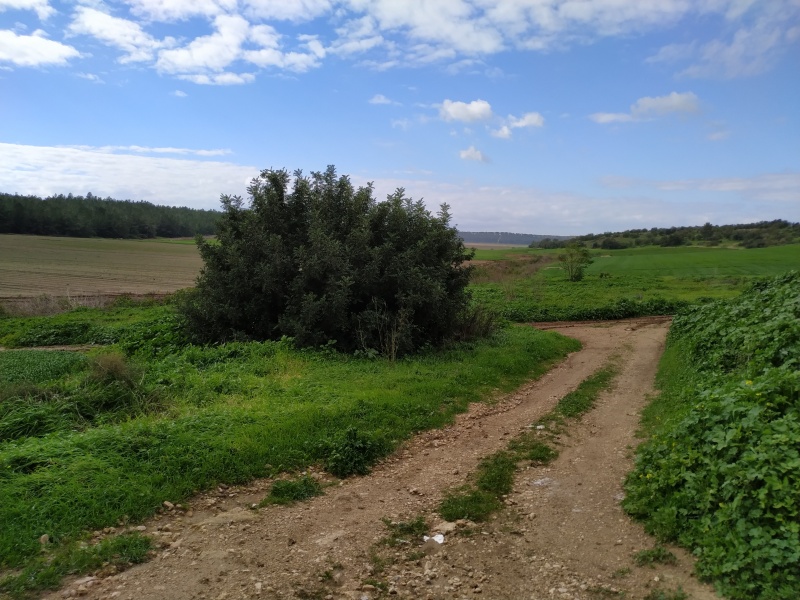 קובץ:2019.01.18-113038.491.android.jpg