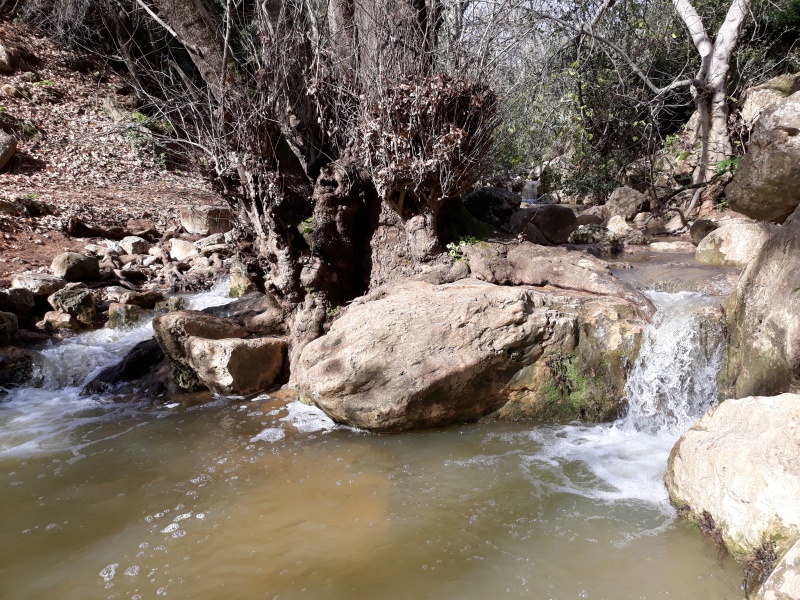 קובץ:2019.01.21-121320.668.android.jpg