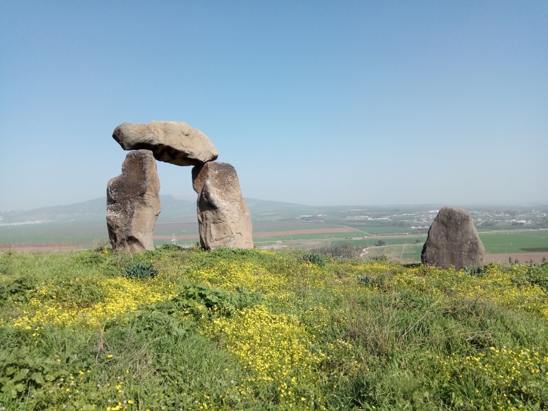 קובץ:2019.01.22-124860.521.android.jpg