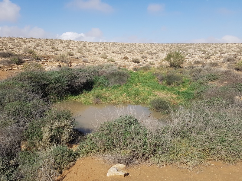 קובץ:2019.02.07-140638.759.android.jpg