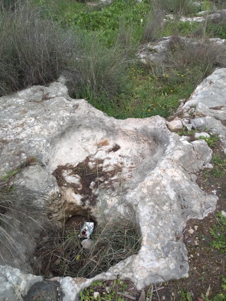 קובץ:2019.02.10-111951.631.android.jpg