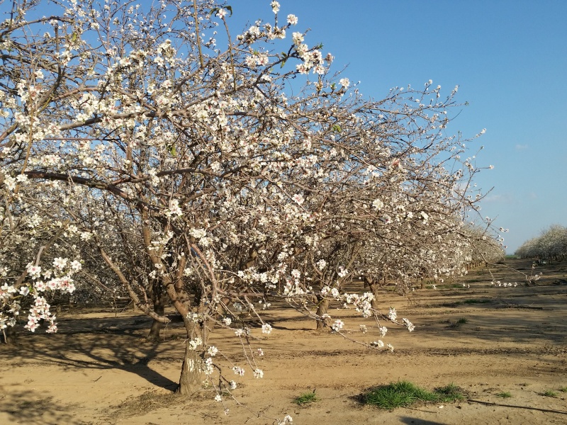 קובץ:2019.02.16-170710.579.android.jpg