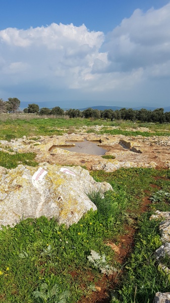 קובץ:2019.02.19-143719.523.android.jpg