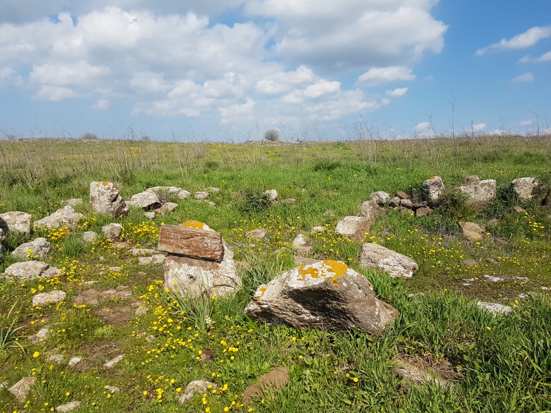 קובץ:2019.02.23-111509.677.android.jpg