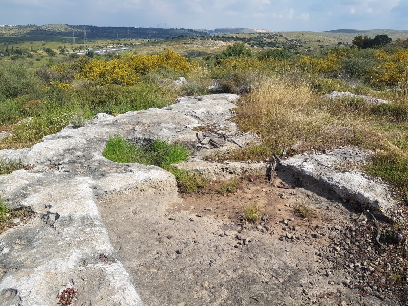 קובץ:2019.04.05-110858.229.android.jpg