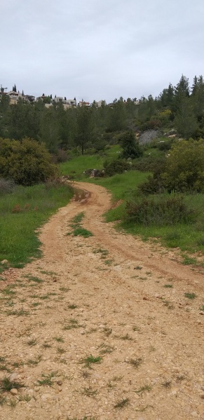 קובץ:2019.04.06-115659.782.android.jpg