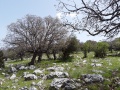 תמונה ממוזערת לגרסה מתאריך 10:24, 29 באפריל 2019